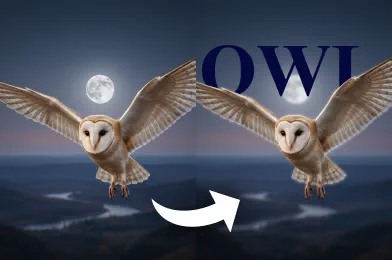 Add Text Behind Image