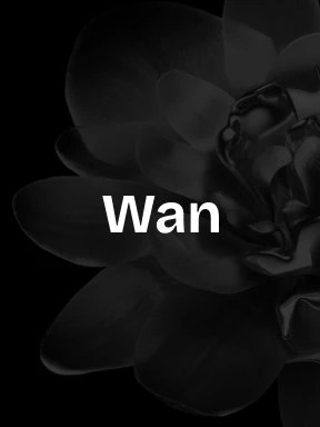 Wan AI